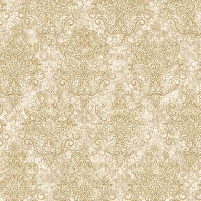 Gaenari Arete 81041-1