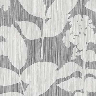 Graham & Brown Genesis  111724