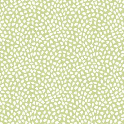 KT Exclusive Mod Chic HC81108