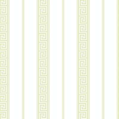 KT Exclusive Mod Chic HC81312