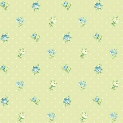 KT Exclusive Mod Chic HC81814