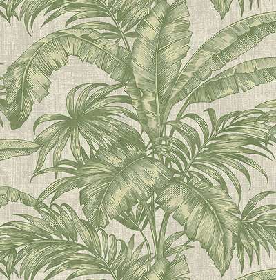 KT Exclusive Biltmore BT81604