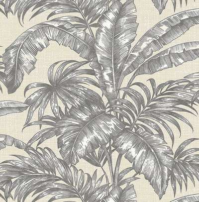 KT Exclusive Biltmore BT81608