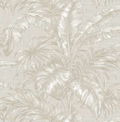KT Exclusive Biltmore BT81618
