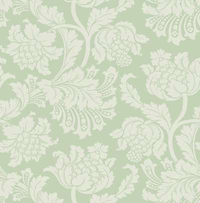 KT Exclusive Simplicity SY41314