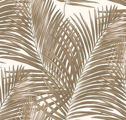 Loymina Amazonia  Ins3 001/2