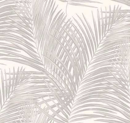 Loymina Amazonia  Ins3 001