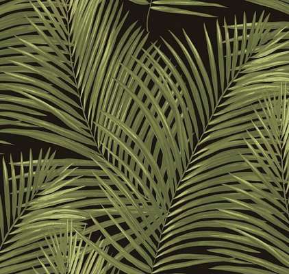 Loymina Amazonia  Ins3 005/3