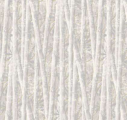 Loymina Amazonia  Ins7 001/1