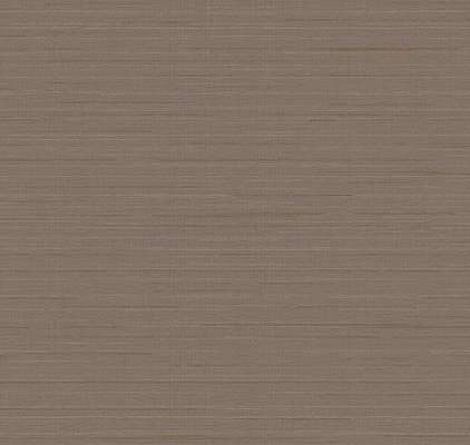 Loymina Amazonia  Ins9 004