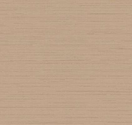 Loymina Amazonia  Ins9 002/1
