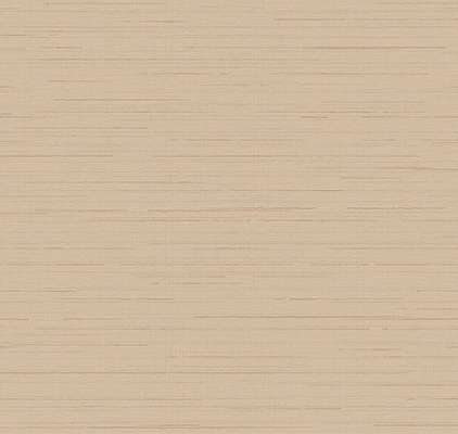 Loymina Amazonia  Ins9 002/2