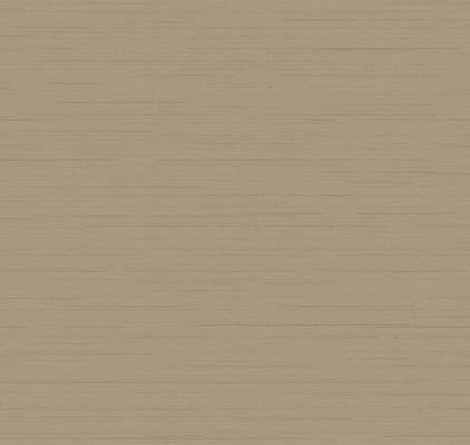 Loymina Amazonia  Ins9 002/3