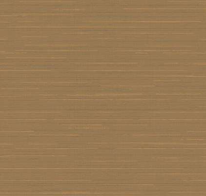Loymina Amazonia  Ins9 004/1