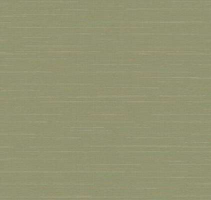 Loymina Amazonia  Ins9 005/1