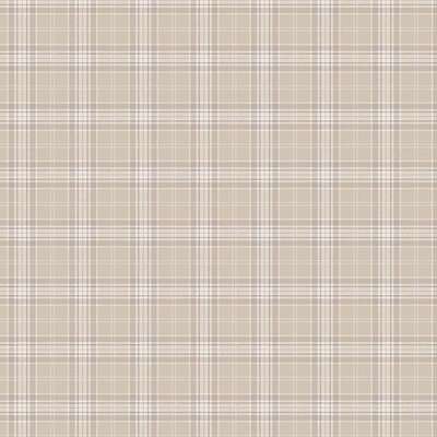 Loymina Денди KN2 001-1