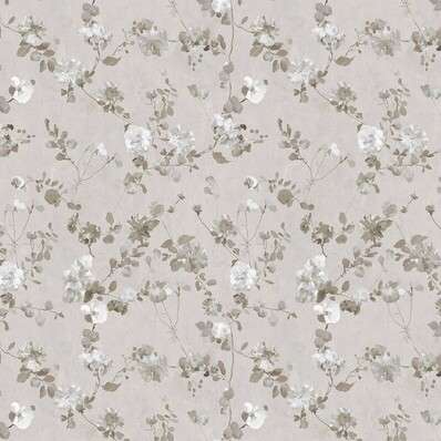 Loymina Etude vol. II ETD16-001