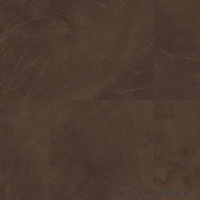Loymina Lac Deco Lac7 004