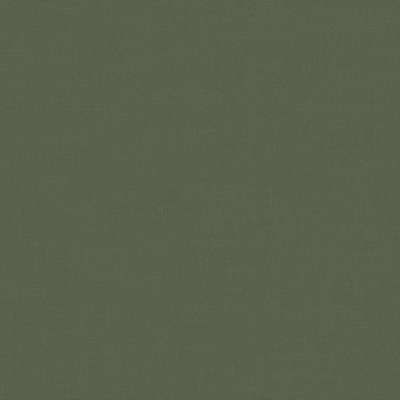 Loymina Шервуд BRIT31 005/3