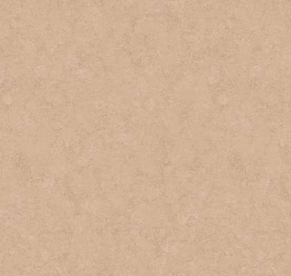 Loymina Shade SD3 002/2