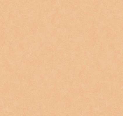 Loymina Shade SD3 003