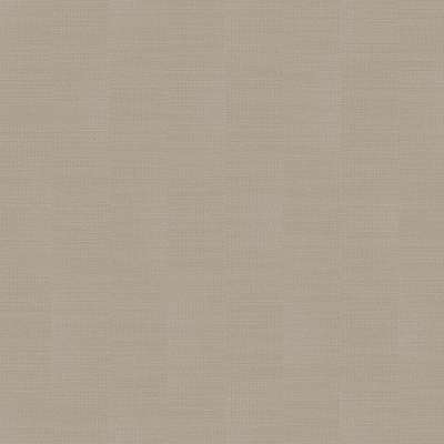 Loymina Shade Vol.2  SDR2-002