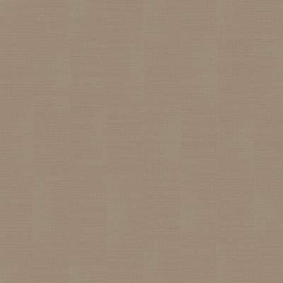 Loymina Shade Vol.2  SDR2-002-3