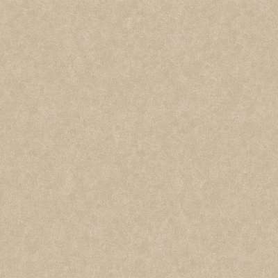 Loymina Shade Vol.2  SDR5-002-2