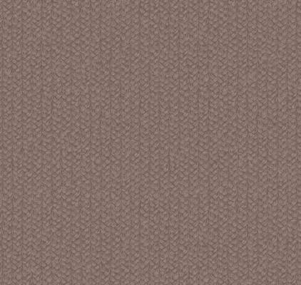 Loymina Shelter Tex5 009