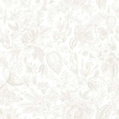 Marburg Gloockler Pompoos Provence 35615
