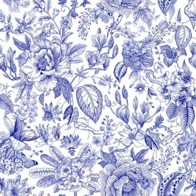 Marburg Gloockler Pompoos Provence 35616
