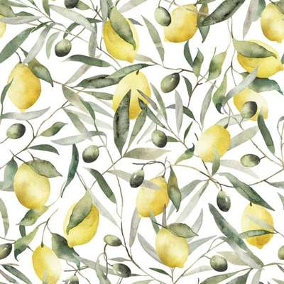 Marburg Gloockler Pompoos Provence 35618