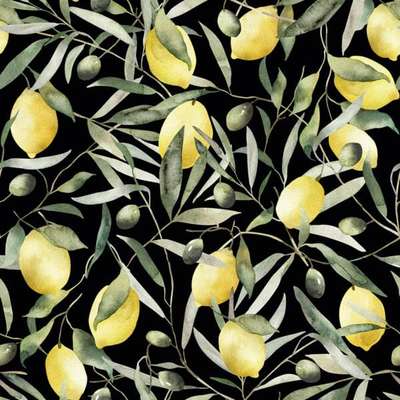 Marburg Gloockler Pompoos Provence 35620