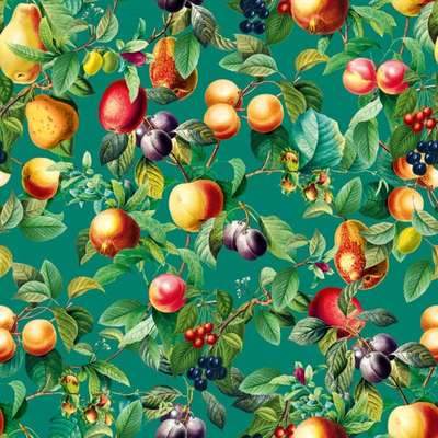 Marburg Gloockler Pompoos Provence 35631
