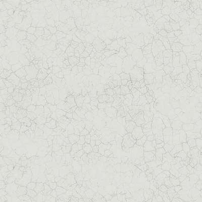 Mayflower  Transition FJ31208