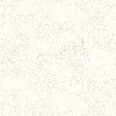 Mayflower  Transition FJ31210