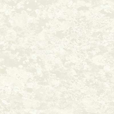 Mayflower  Transition FJ30310