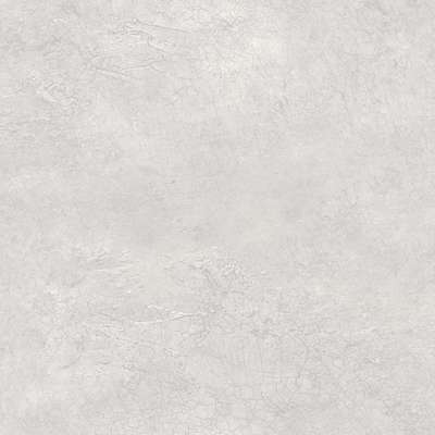 Mayflower  Transition FJ31109