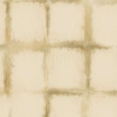 Mayflower  Transition FJ31305