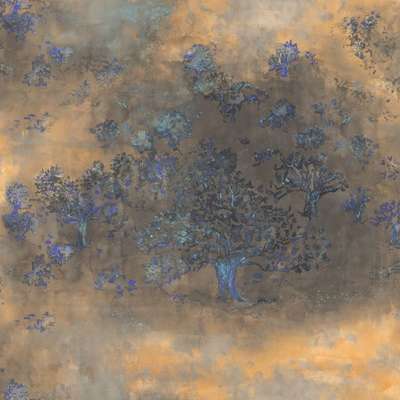 Mayflower  Transition FJ31406