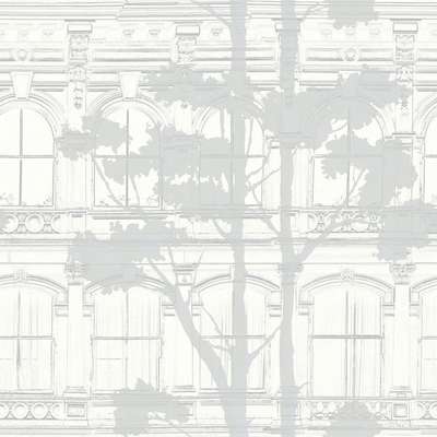 Mayflower  Transition FJ31510