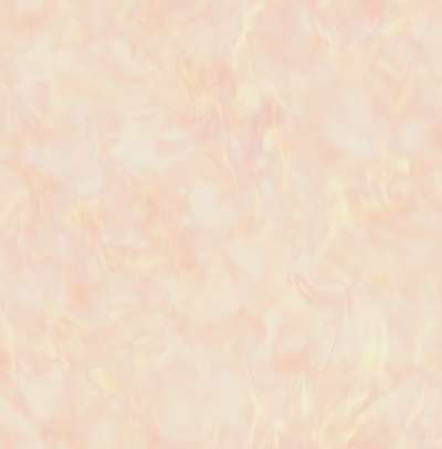 Mayflower  Transition FJ31901