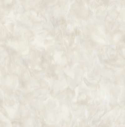 Mayflower  Transition FJ31905