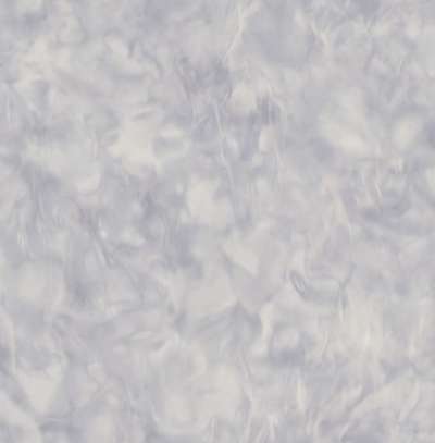 Mayflower  Transition FJ31908