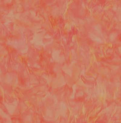 Mayflower  Transition FJ31911