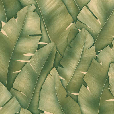 Monte Solaro Tropicana 9148-04