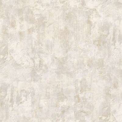 Prima Italiana Colomba 80661