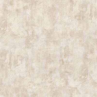 Prima Italiana Colomba 80667