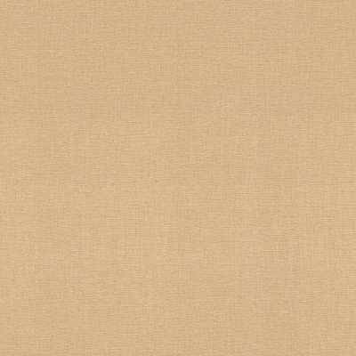 Rasch Amazing 531367r
