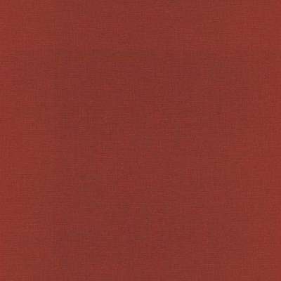 Rasch Amazing 531374